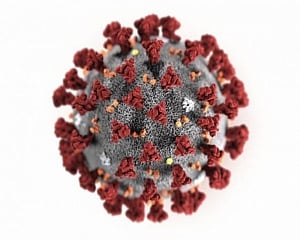 Coronavirus: Latest updates on COVID-19 crisis around the world