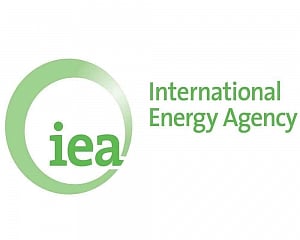 Coronavirus to cause first annual decline in oil use in decade: IEA