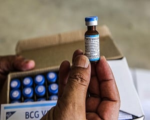 COVID-19: Study to find effectiveness of BCG vaccine in elders