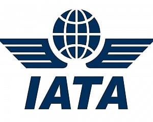 COVID-19 crisis likely to hit 29 lakh jobs in Indian aviation, dependent sectors: IATA