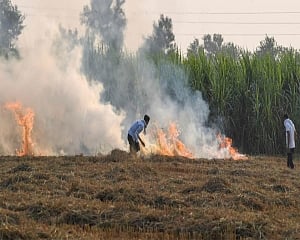 Delhi air turns 'very poor' as stubble burning begins