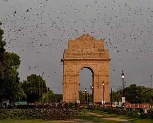 Delhi gets 6 new containment zones; count reaches 66