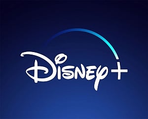 Disney Plus delays 'Falcon & the Winter Soldier' release
