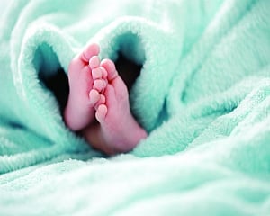 Docyard | Take extra care of newborns