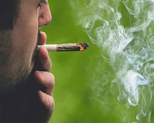 Does smoking marijuana affect your sperm count?