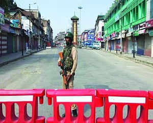 Economic cost of the lockdown