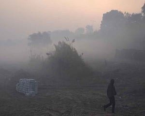 Foggy, cold morning in Delhi