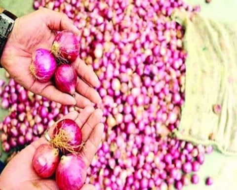 Govt relaxes import norms for onion to boost domestic supply, check prices