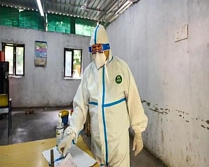 Haryana reports 5 more COVID-19 deaths; 795 fresh cases