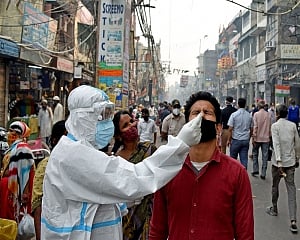 India's COVID-19 caseload mounts to 83.64 lakh with 50,210 new cases