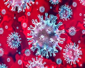 Key tips to keep your home coronavirus free