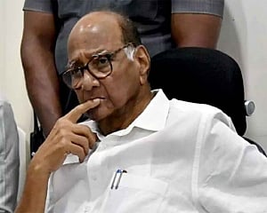 Koregaon-Bhima judicial panel urged to summon Pawar