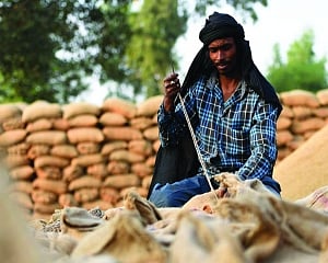 Livelihoods in the lurch