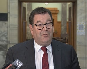 New Zealand's new deputy leader first gay man to hold role