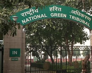 NGT imposes ban on sale, use of firecrackers in NCR from Nov 9 to Nov 30
