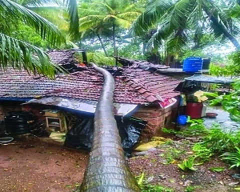 Nisarga blows itself out, Mumbai relieved