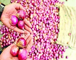No respite from rising onion prices till Dec, potato prices decline