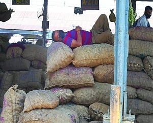 Panic grips Azadpur Mandi as trader dies, contacts tracing op on