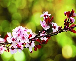 Slivers of hope