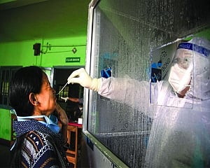 Swine flu rears its head amid Covid, infects 2,721 in India