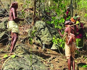 The Forest Rights Act is not serving its purpose