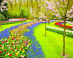 The spiritual garden