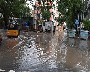 Three killed, over 1,000 trees uprooted in TN as Nivar crosses coast near Pondy EDS:Combining related stories