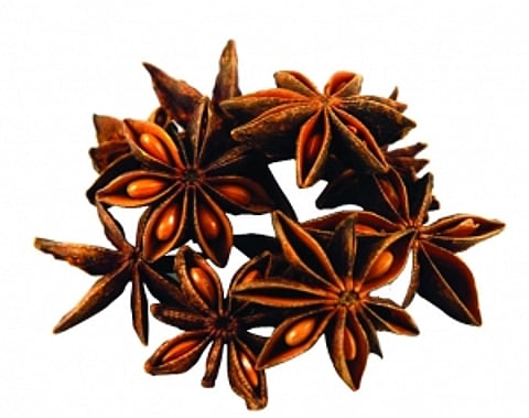 Warmfoods