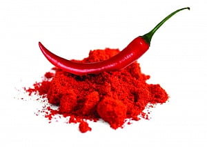 Warmfoods