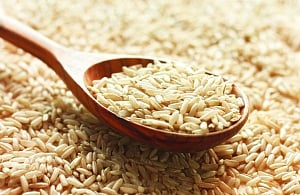 Warmfoods
