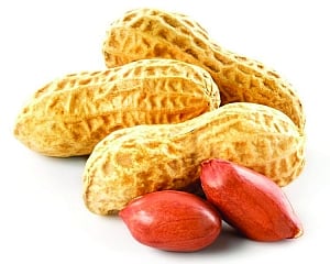 Warmfoods