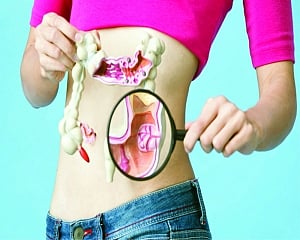 WHAT’S YOUR GUT FEELING?