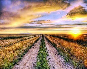 What matters in the long run