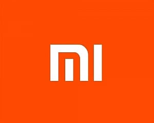 Xiaomi confident of robust performance in India festive quarter
