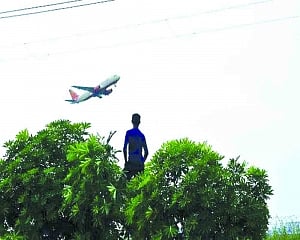 2,800 trees to pay with life for Ayodhya airport’s birth