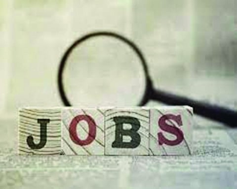 6.66 lakh direct, indirect jobs generated by 22 operational mega food parks: Government