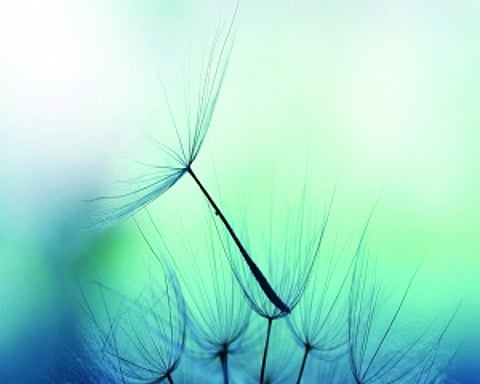 Astroturf | Calm mind for dhyana