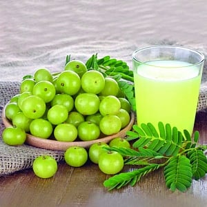 Ayurveda for the mane