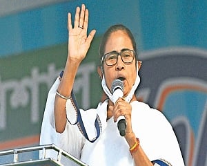 BJP leaders using Rath Yatra to divide society: Mamata