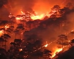 Centre orders deployment of NDRF teams, helicopters in Uttarakhand to tackle forest fires