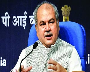 Centre taking steps to achieve nutritional security: Agri Min Tomar