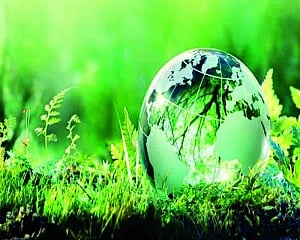 Champions of environment