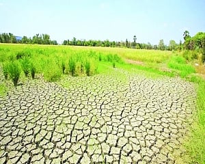 COP26: Promises galore and a game of lobbies