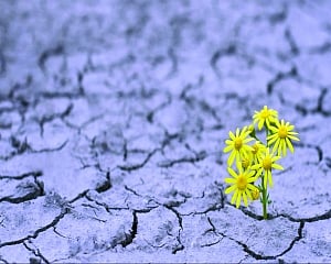 Faith & hope: Best antidotes