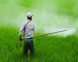 Fertiliser industry is not yielding results