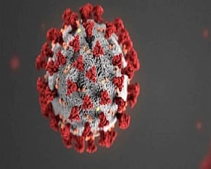 Genome sequencing of coronavirus in sewage can help detect local variants: Study