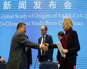 Global study on Covid-19 origins finds lab origin 'extremely unlikely'