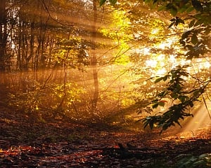 God is very generous