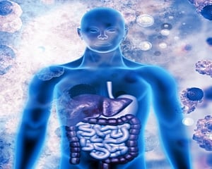 How well your immune system works can depend on the time of day