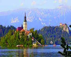 India at the Bled Strategic Forum